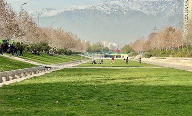 Arrendado Ideal Para Inversión