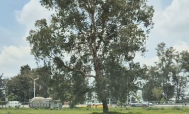 Terreno en Venta sobre Periférico y casi Av Vallarta