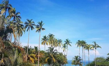 Terreno en Venta enfrente de PLAYA en Fraccionamiento Privado, CHACALILLA