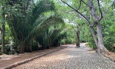 Terreno en Venta enfrente de PLAYA en Fraccionamiento Privado, CHACALILLA