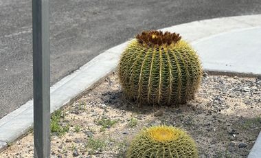 BODEGA INDUSTRIAL EN RENTA/VENTA EN ESCOBEDO