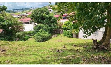 TERRENO / EL BOSQUE / 425.76M / IDEAL PARA PROYECTO DE RESIDENCIA JC