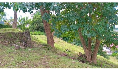 TERRENO / EL BOSQUE / 425.76M / IDEAL PARA PROYECTO DE RESIDENCIA JC