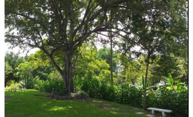ALQUILO CASA CAMPESTRE EN LAS UVAS DE SAN CARLOS AMOBLADA