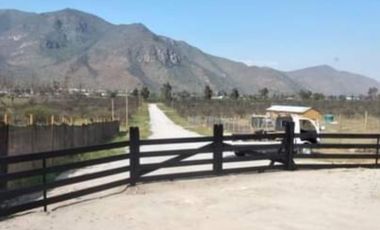 Vende parcelas planas de 5.000 mt2 en Lampa, rol propio, sector camino Chicauma con cruce El Taco