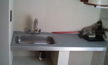 HERMOSO PH RECICLADO A NUEVO