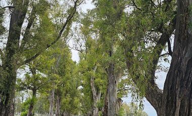 Casa 3 Ambientes Venta General Rodriguez Tres Pinos El Estribo