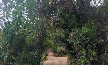 Parcela en venta en QUILPUÉ