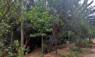 Parcela en venta en QUILPUÉ