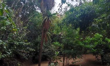 Parcela en venta en QUILPUÉ