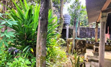 RUMAH KAMPUNG DI MIJEN