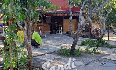 Rumah Makan Tanah Luas 4860 meter dekat RS Panti Rahayu Gunung Kidul