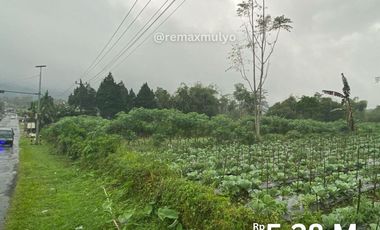 Tanah dijual di Pemalang, Pemalang, Jawa Tengah