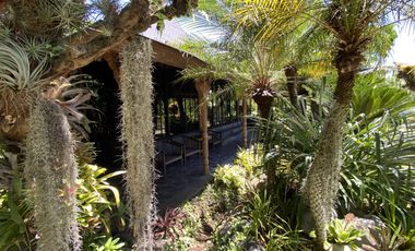 Leasehold - Exquisite Teak Joglo Office with Premium Finishes & Scenic