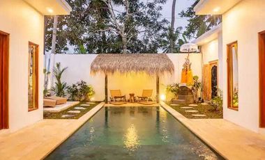 Charming 2-BR Leasehold Villa Ubud - Serene Rice Field Views