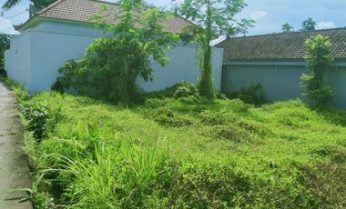 Scenic 2 Are Leasehold Land in Ubud with Rice Field View