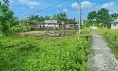 Scenic 2 Are Leasehold Land in Ubud with Rice Field View