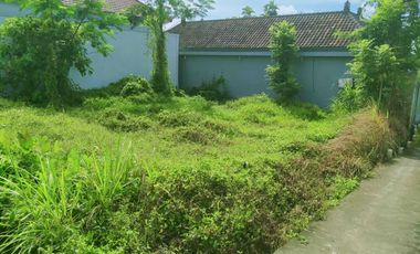 Scenic 2 Are Leasehold Land in Ubud with Rice Field View