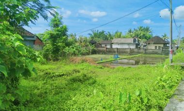 Scenic 2 Are Leasehold Land in Ubud with Rice Field View
