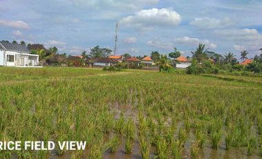 Scenic 2 Are Leasehold Land in Ubud with Rice Field View