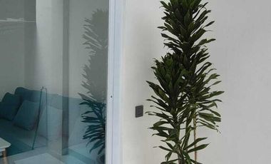 Leasehold - A modern townhouse takes simpliciy and serenity in Seminyak, Bali