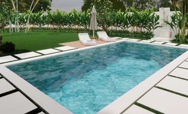 Freehold - Villa wih the ricefield view and river perimeter prime area