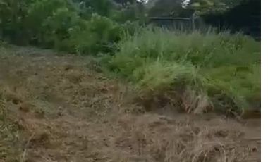 Freehold - Rare Land for Sale in Ubud - 2 Mins from Odette Ubud, Bali!