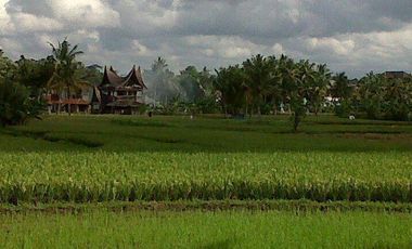 Freehold - Rare Land for Sale in Ubud - 2 Mins from Odette Ubud, Bali!