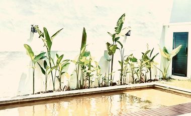 Freehold - Brand New Freehold Villa in Tumbak Bayuh, Canggu, Bali