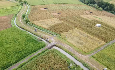 Leasehold - Exclusive Land in Yeh Gangga, Tabanan, Bali - Close to the Beach