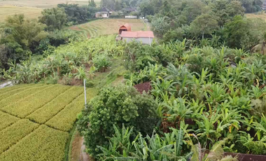 Leasehold - Exclusive Land in Yeh Gangga, Tabanan, Bali - Close to the Beach