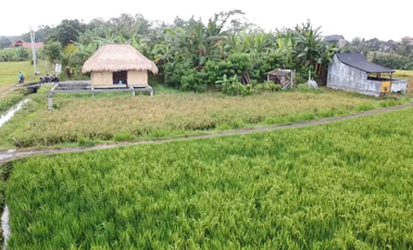 Leasehold - Exclusive Land in Yeh Gangga, Tabanan, Bali - Close to the Beach