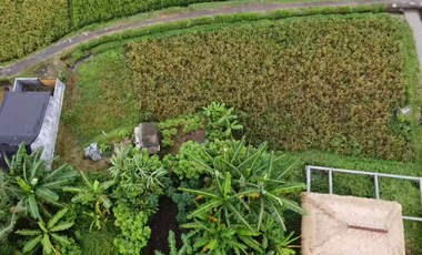 Leasehold - Exclusive Land in Yeh Gangga, Tabanan, Bali - Close to the Beach