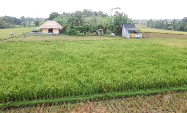Leasehold - Exclusive Land in Yeh Gangga, Tabanan, Bali - Close to the Beach
