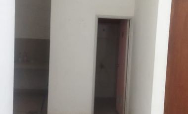 Freehold - Sale residence house in good area Saba, Gianyar, Bali