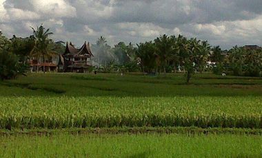 Freehold - Rare Land for Sale in Ubud - 2 Mins from Odette Ubud, Bali!
