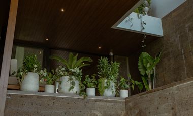 Rare FREEHOLD Opportunity! Modern & Smartly Designed Villas in Canggu, Bali