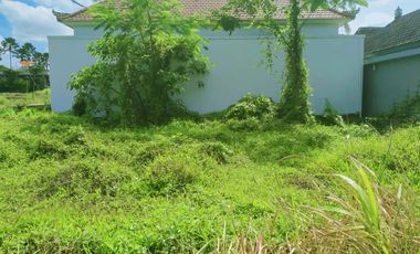 Scenic 2 Are Leasehold Land in Ubud with Rice Field View