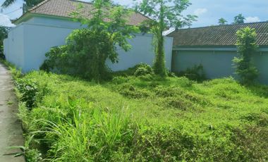 Scenic 2 Are Leasehold Land in Ubud with Rice Field View