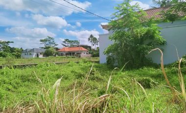 Scenic 2 Are Leasehold Land in Ubud with Rice Field View
