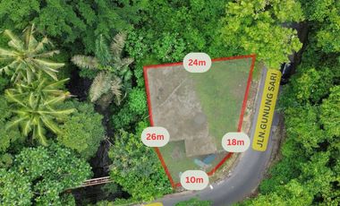 Premium Freehold Land for Sale - Prime Commercial Location in Ubud Center