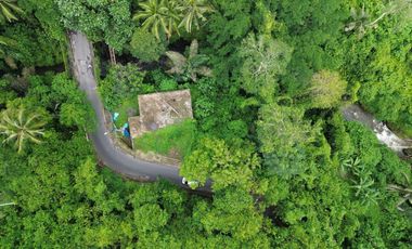 Premium Freehold Land for Sale - Prime Commercial Location in Ubud Center