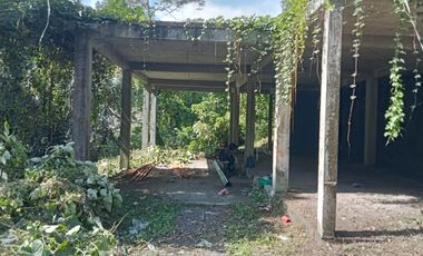 Premium Freehold Land for Sale - Prime Commercial Location in Ubud Center