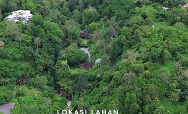 Premium Freehold Land for Sale - Prime Commercial Location in Ubud Center