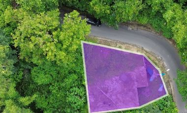 Premium Freehold Land for Sale - Prime Commercial Location in Ubud Center