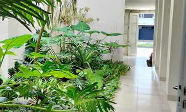 A208 RUMAH USAHA Mewah jl Argopuro JEMBER BEKAS KLINIK KECANTIKAN