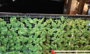 Dijual Cepat Apartemen 2BR Furnish, Sayana Bekasi By Rumah Chinida