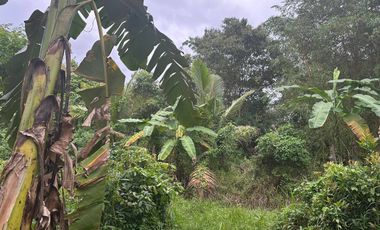 Jual Tanah kebun seluas 2100 M2 dekat Puskesmas Pangandaran