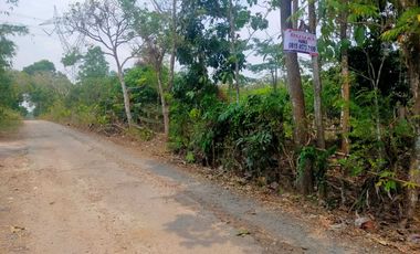 Tanah Cocok Untuk Perumahan, Jalan Lebar