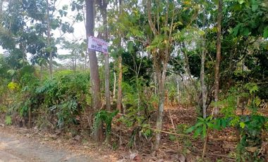 Tanah Cocok Untuk Perumahan, Jalan Lebar